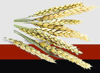 南宫NG·28(中国)相信品牌力量有限公司