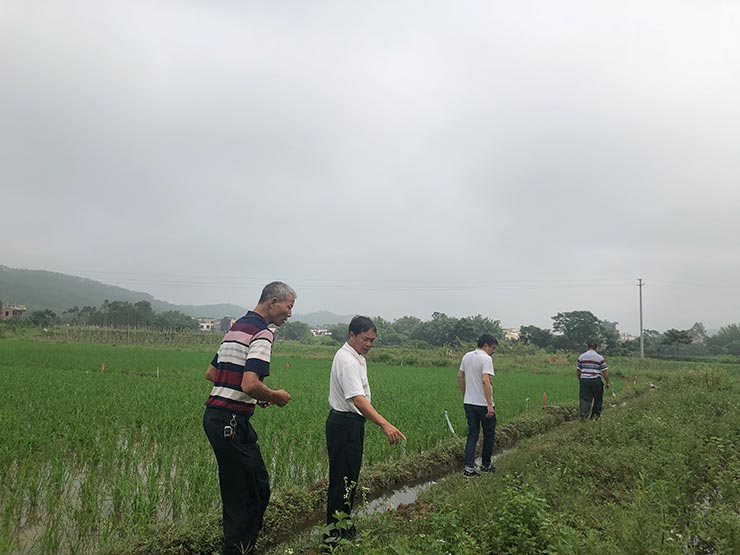 南宫NG·28(中国)相信品牌力量有限公司