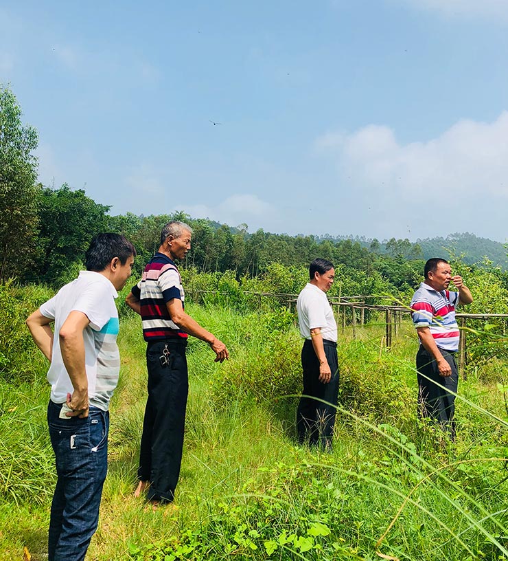 南宫NG·28(中国)相信品牌力量有限公司