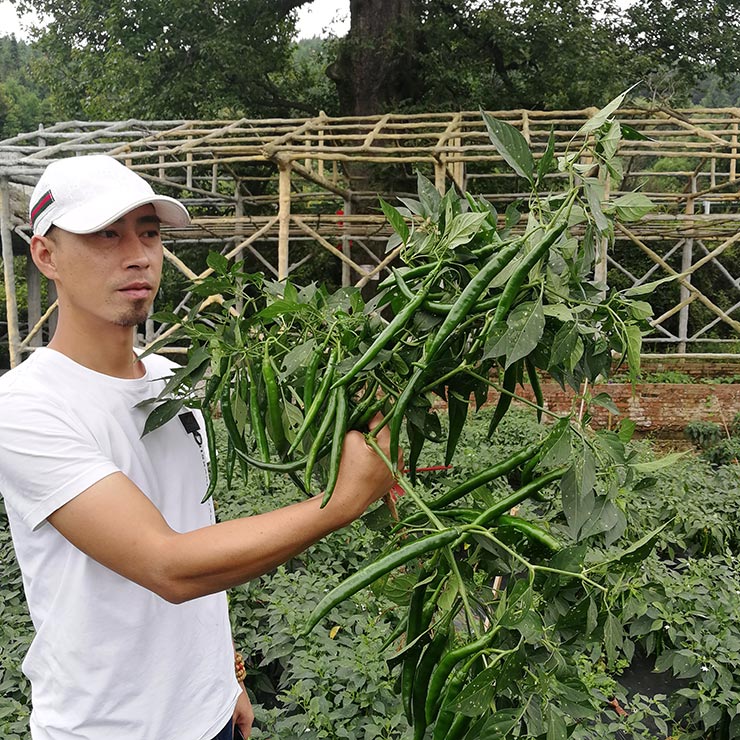 南宫NG·28(中国)相信品牌力量有限公司