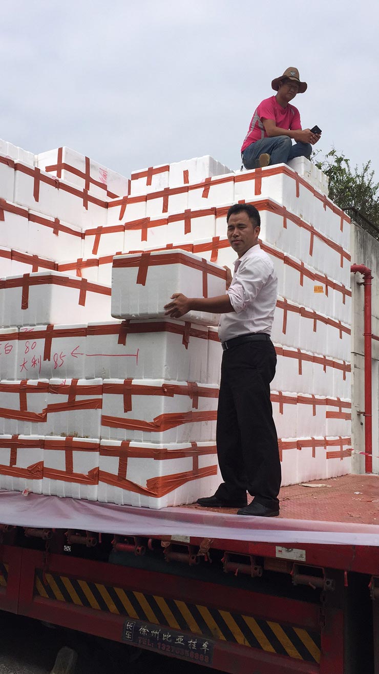 南宫NG·28(中国)相信品牌力量有限公司