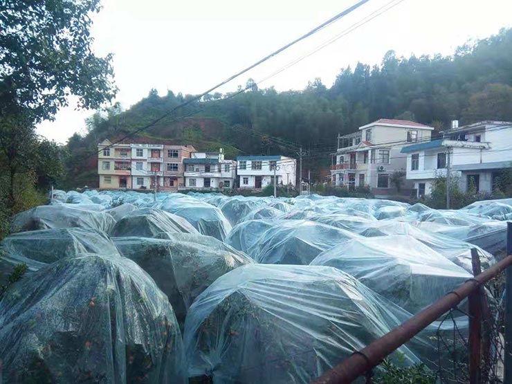 南宫NG·28(中国)相信品牌力量有限公司