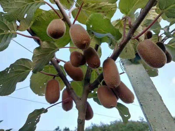 南宫NG·28(中国)相信品牌力量有限公司