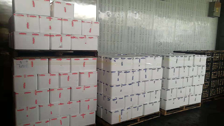 南宫NG·28(中国)相信品牌力量有限公司