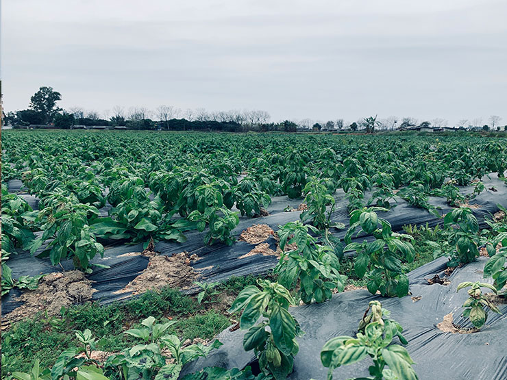 南宫NG·28(中国)相信品牌力量有限公司