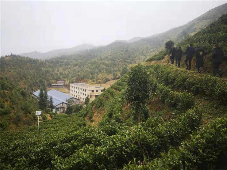 南宫NG·28(中国)相信品牌力量有限公司