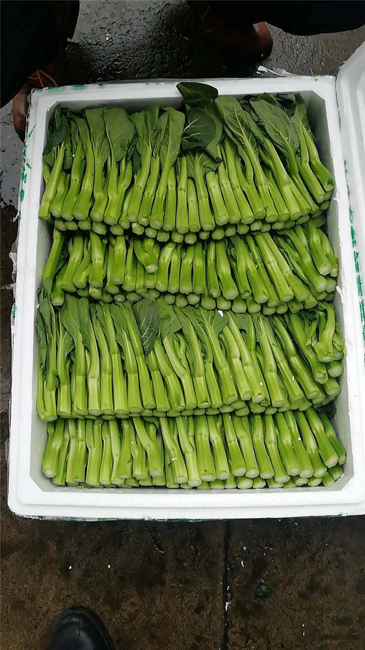 南宫NG·28(中国)相信品牌力量有限公司