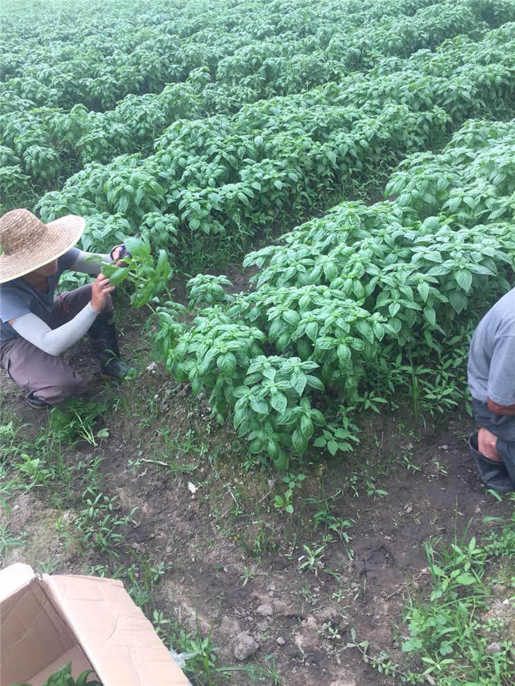 南宫NG·28(中国)相信品牌力量有限公司