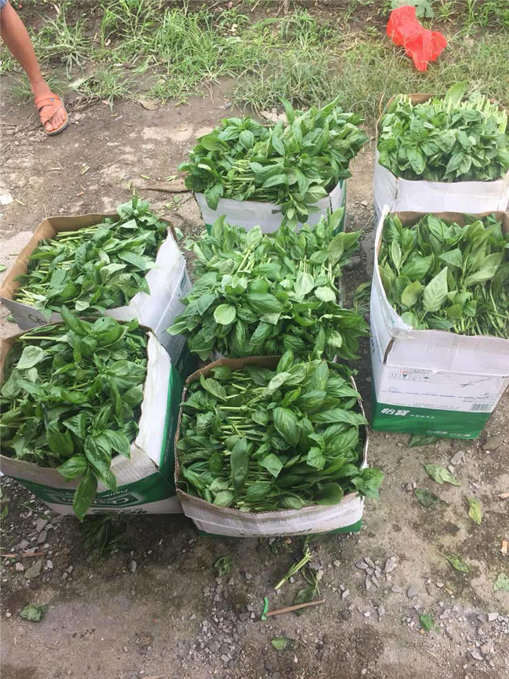 南宫NG·28(中国)相信品牌力量有限公司