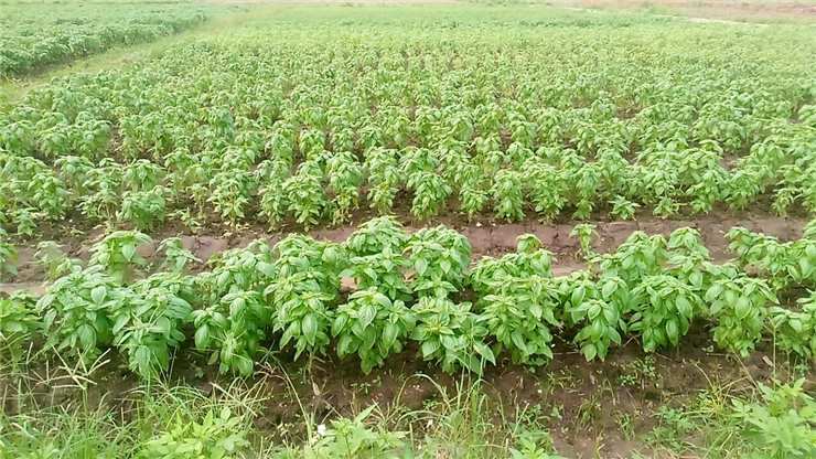 南宫NG·28(中国)相信品牌力量有限公司