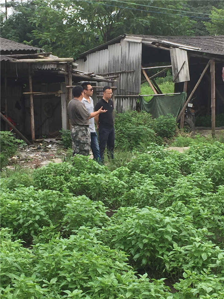 南宫NG·28(中国)相信品牌力量有限公司