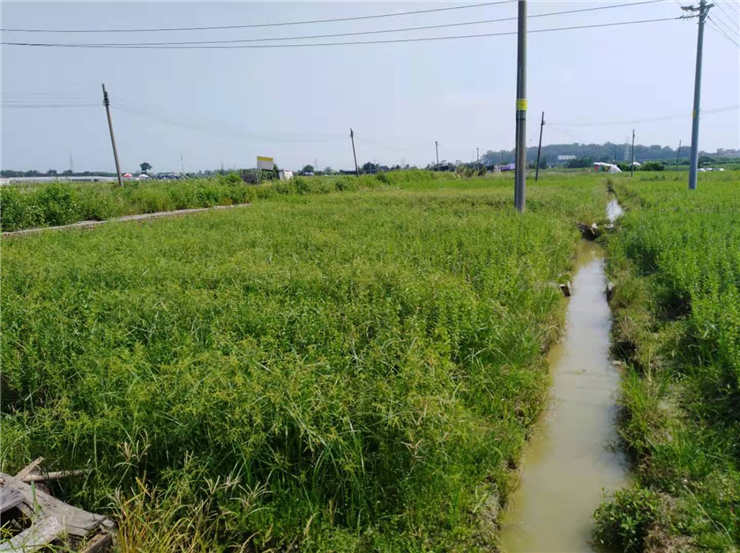 南宫NG·28(中国)相信品牌力量有限公司