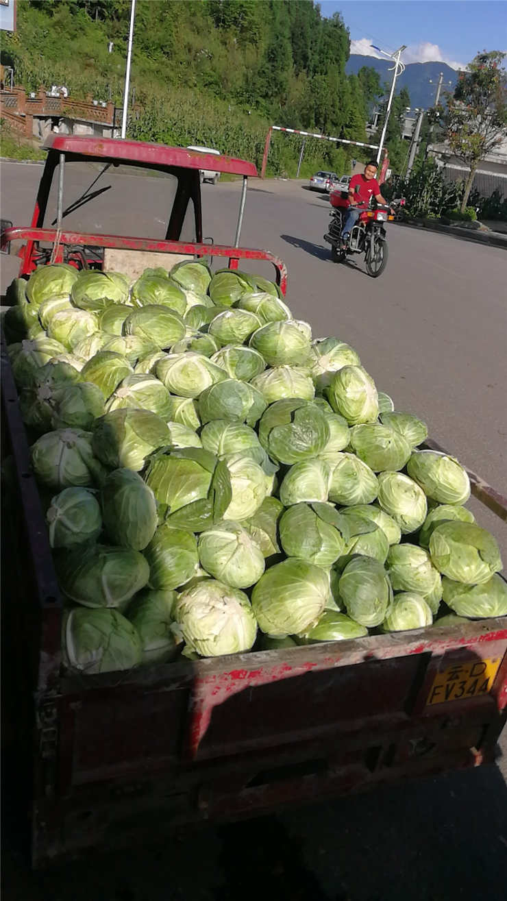 南宫NG·28(中国)相信品牌力量有限公司