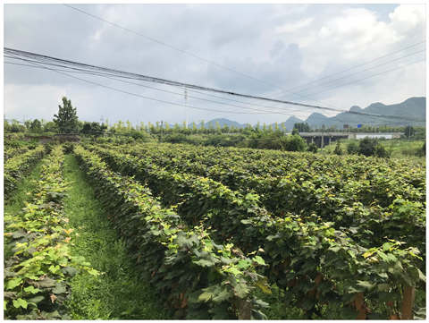 南宫NG·28(中国)相信品牌力量有限公司