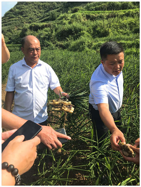 南宫NG·28(中国)相信品牌力量有限公司