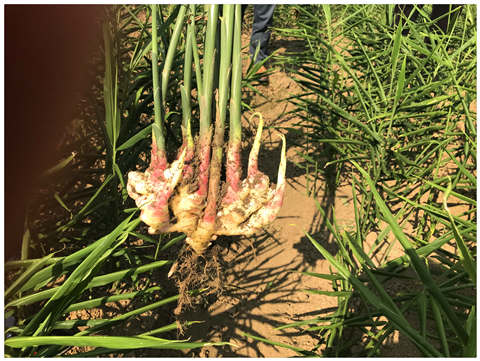 南宫NG·28(中国)相信品牌力量有限公司