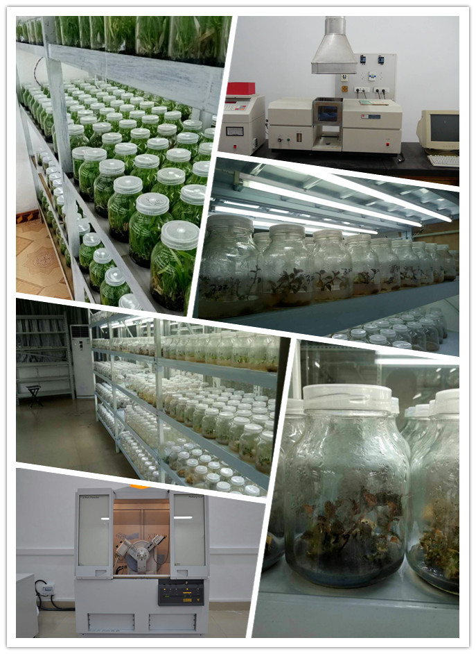 南宫NG·28(中国)相信品牌力量有限公司