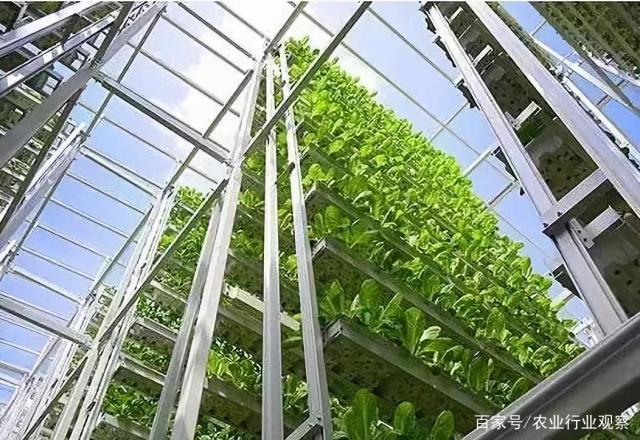 南宫NG·28(中国)相信品牌力量有限公司