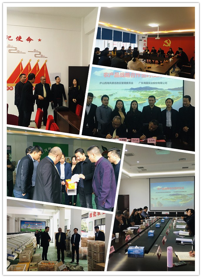 南宫NG·28(中国)相信品牌力量有限公司