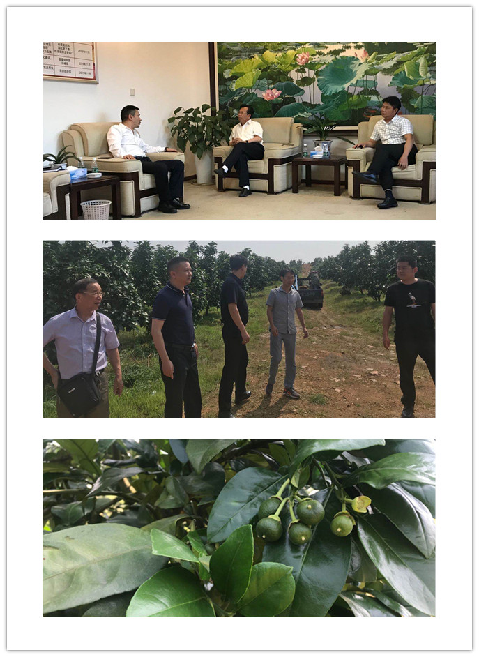 南宫NG·28(中国)相信品牌力量有限公司