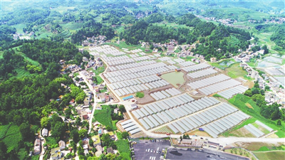 南宫NG·28(中国)相信品牌力量有限公司