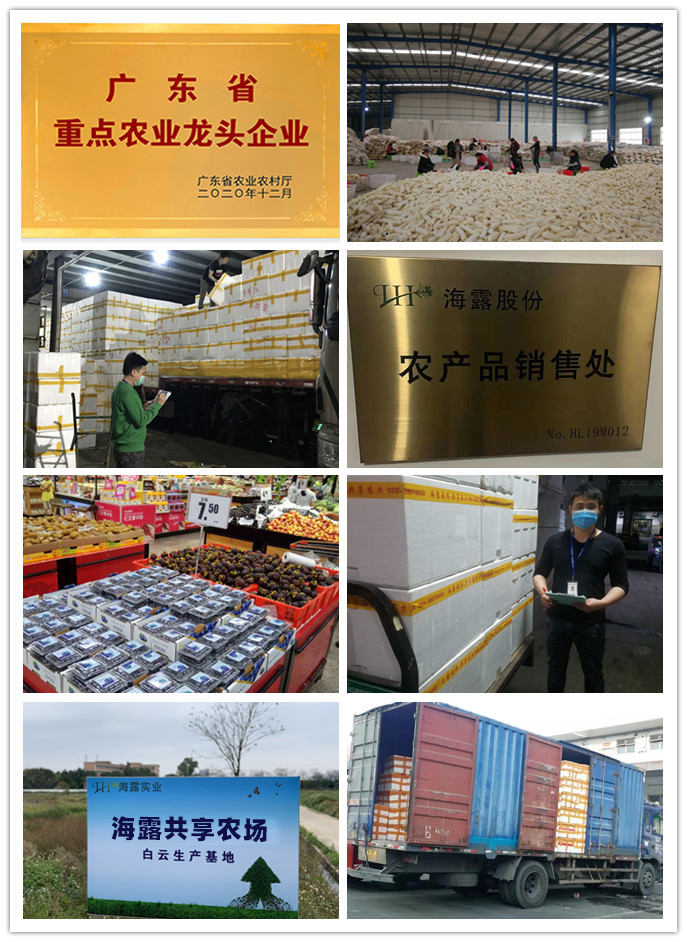 南宫NG·28(中国)相信品牌力量有限公司