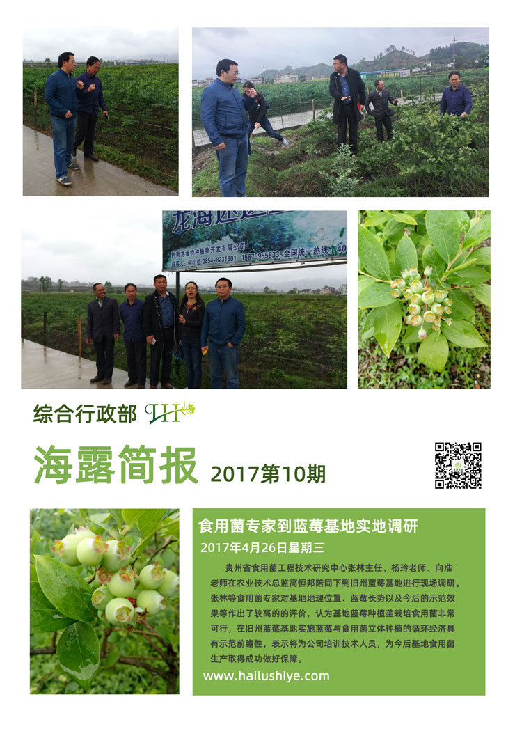 南宫NG·28(中国)相信品牌力量有限公司