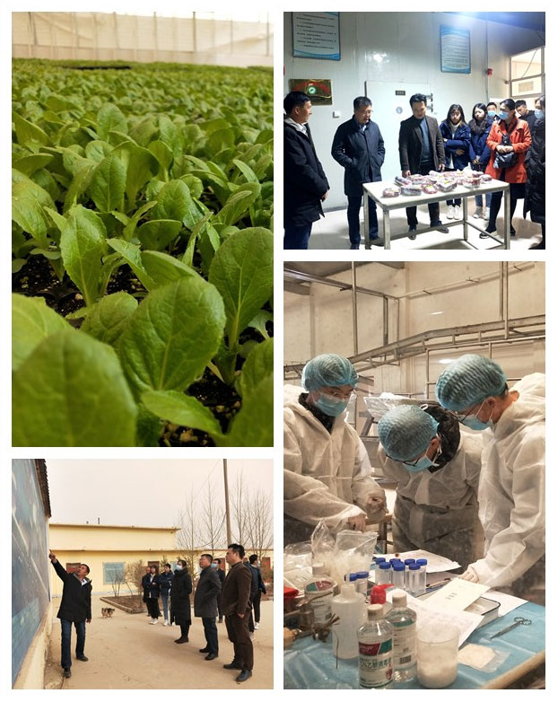 南宫NG·28(中国)相信品牌力量有限公司