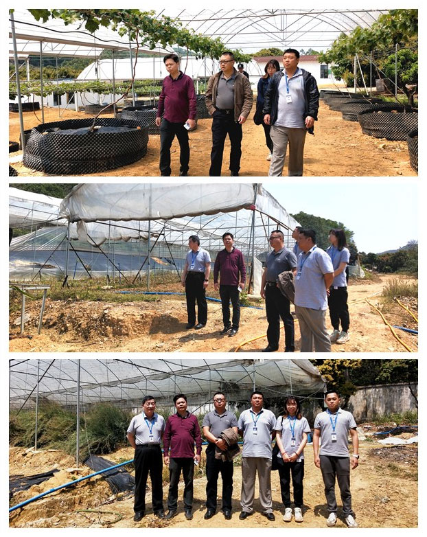 南宫NG·28(中国)相信品牌力量有限公司