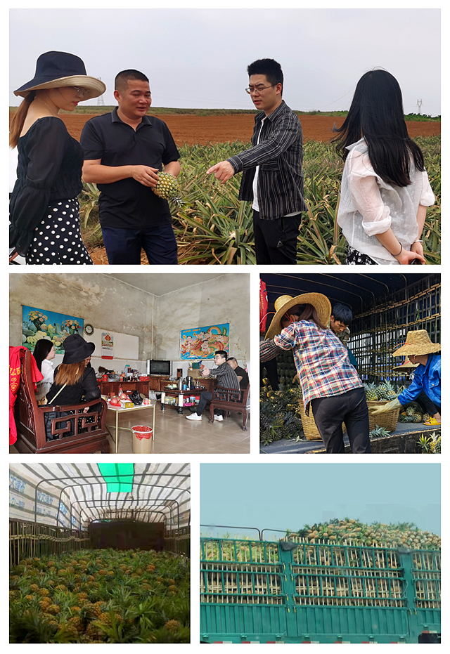 南宫NG·28(中国)相信品牌力量有限公司