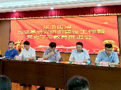 集团党支部加入东漖街道增强下层党组织建设事情暨党史学习教育推进会