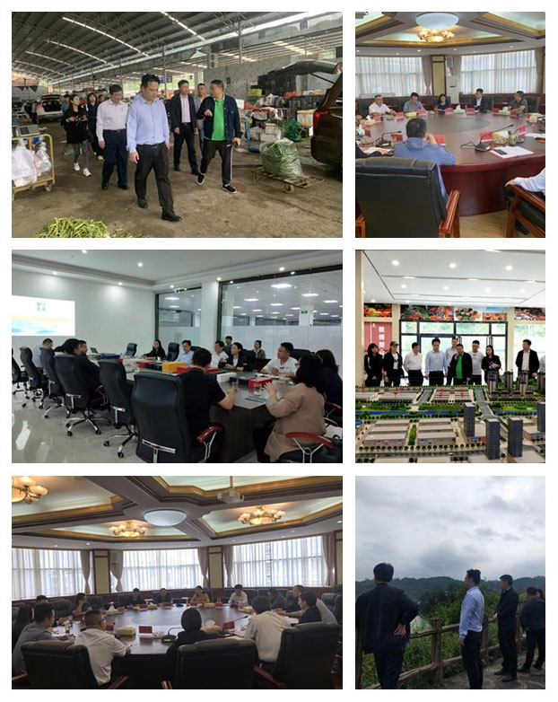 南宫NG·28(中国)相信品牌力量有限公司