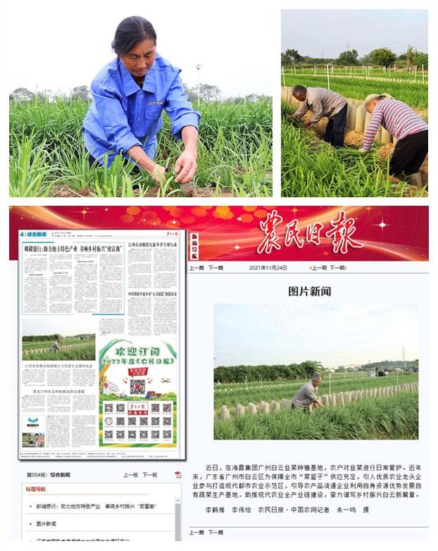 南宫NG·28(中国)相信品牌力量有限公司