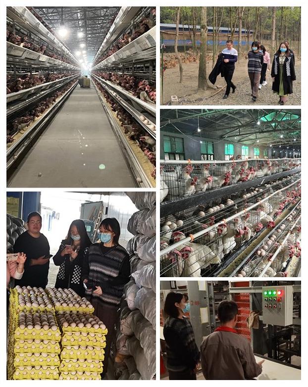 南宫NG·28(中国)相信品牌力量有限公司