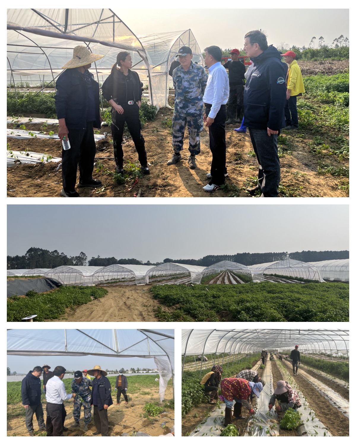 南宫NG·28(中国)相信品牌力量有限公司