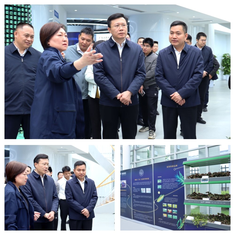 南宫NG·28(中国)相信品牌力量有限公司