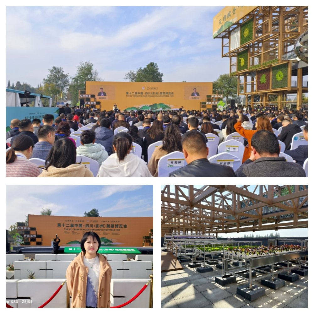 南宫NG·28(中国)相信品牌力量有限公司