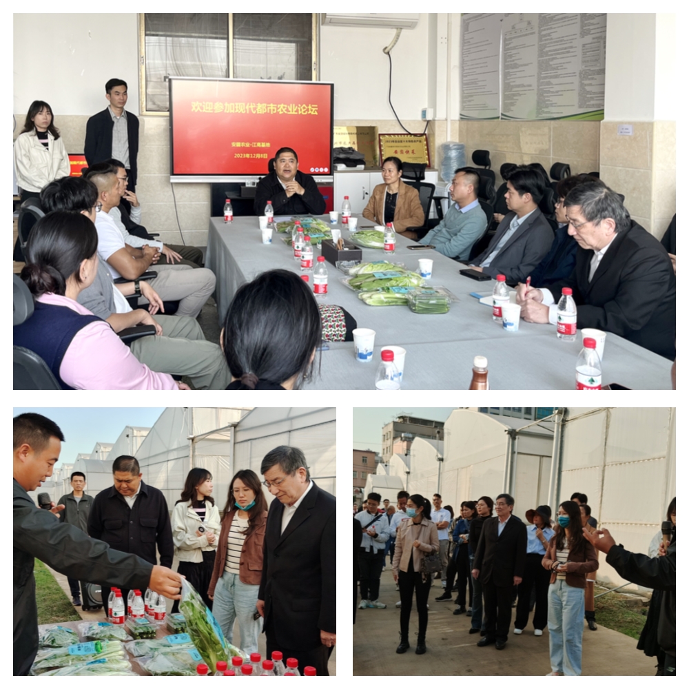 南宫NG·28(中国)相信品牌力量有限公司