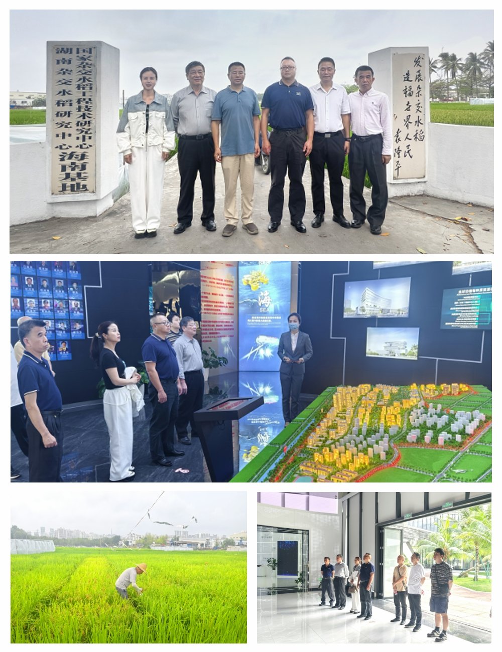 南宫NG·28(中国)相信品牌力量有限公司