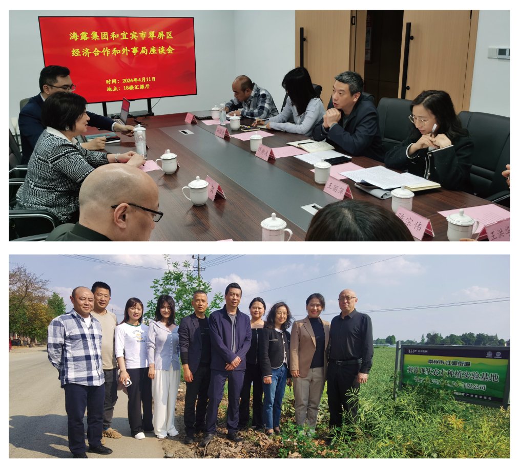 南宫NG·28(中国)相信品牌力量有限公司