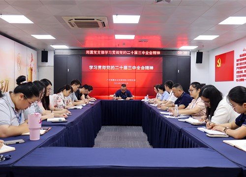 集团党支部学习贯彻党的二十届三中全会精神暨吸收准备党员大会