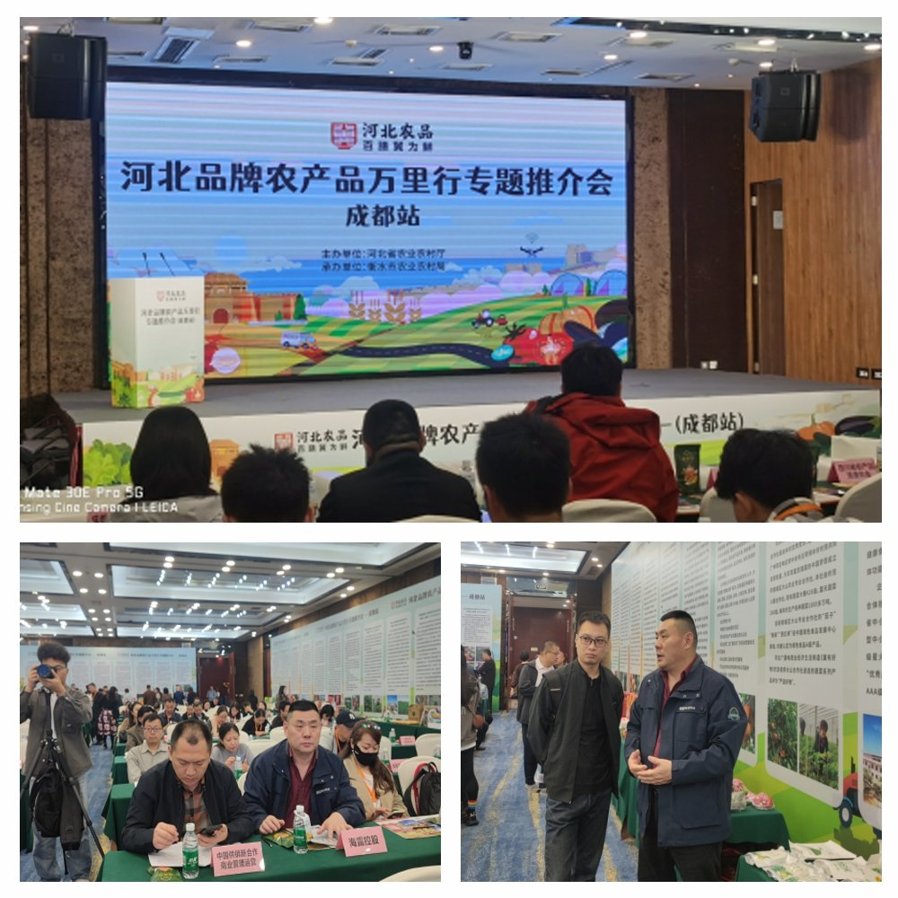 南宫NG·28(中国)相信品牌力量有限公司