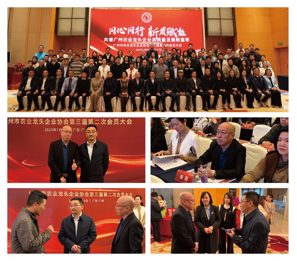 南宫NG·28(中国)相信品牌力量有限公司