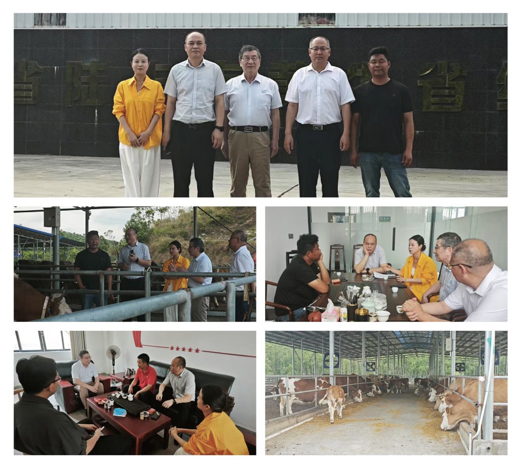 南宫NG·28(中国)相信品牌力量有限公司