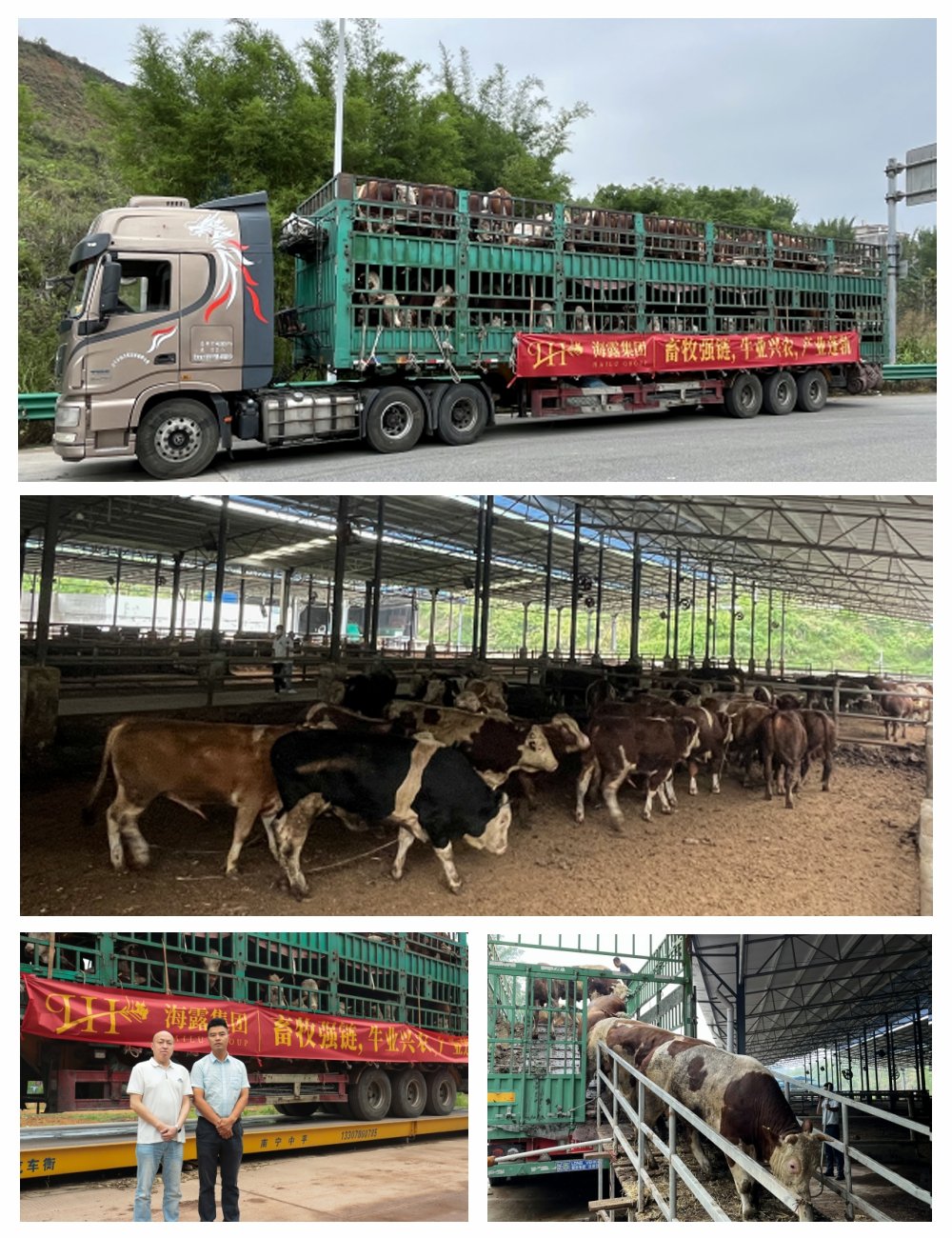 南宫NG·28(中国)相信品牌力量有限公司