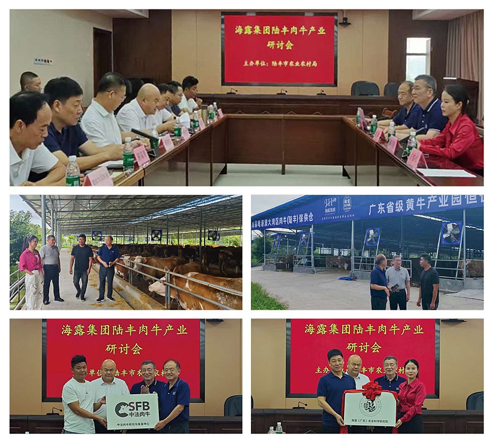 南宫NG·28(中国)相信品牌力量有限公司