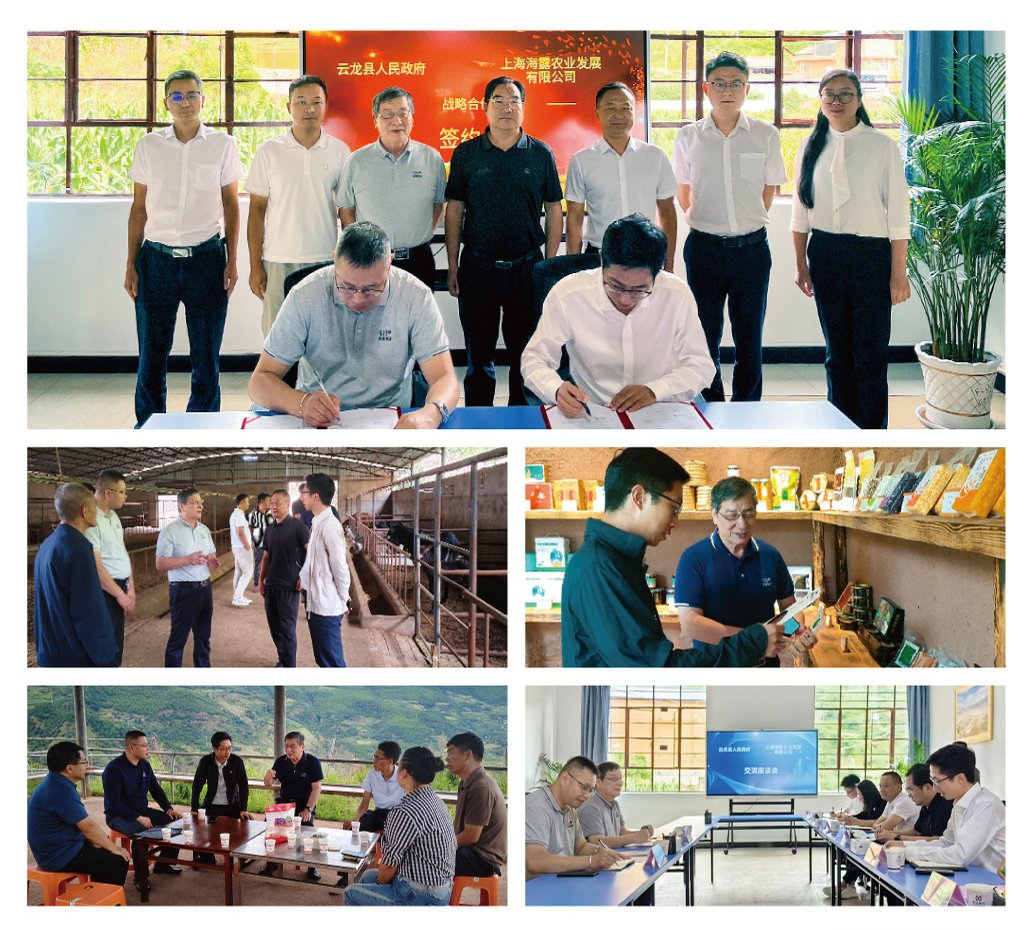 南宫NG·28(中国)相信品牌力量有限公司