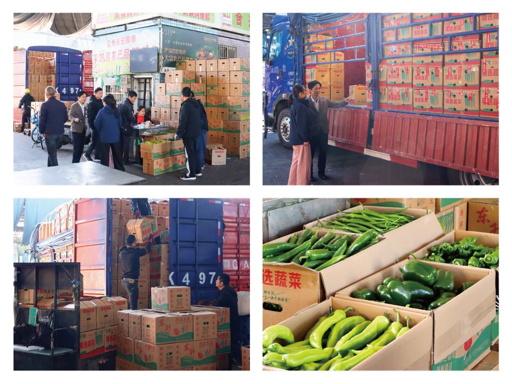 南宫NG·28(中国)相信品牌力量有限公司